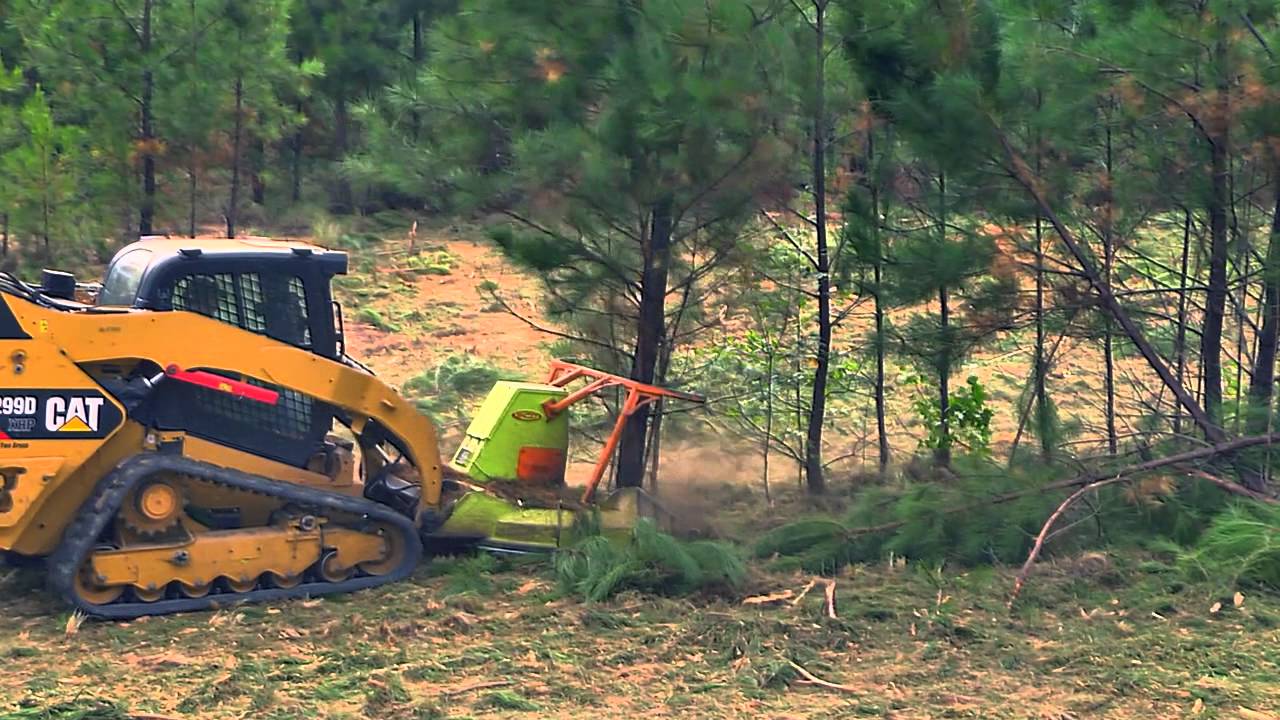 Georgia Brush Mowing Mulches Trees Fast!