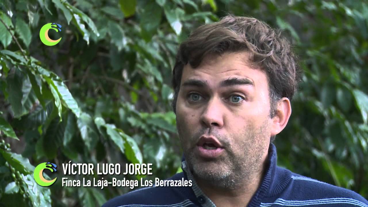 FINCA LOS BERRAZALES EN AGAETE