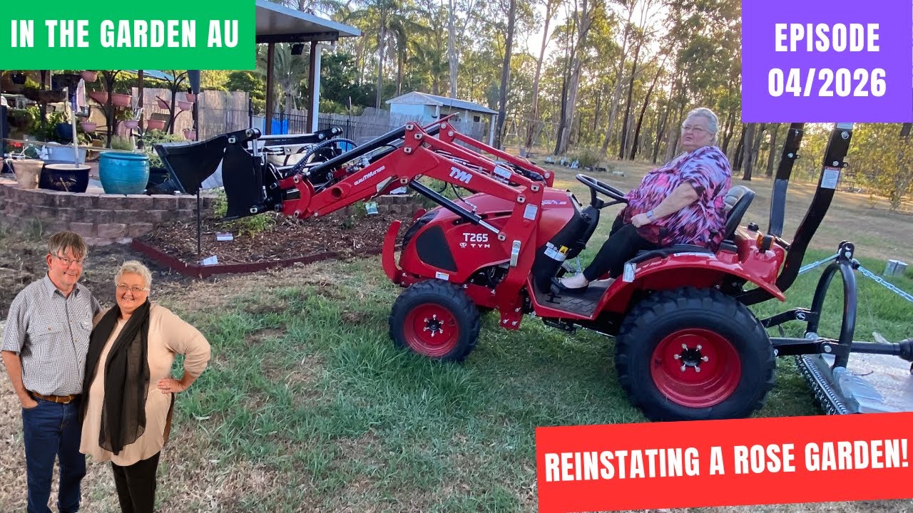 Reinstating A Rose Garden