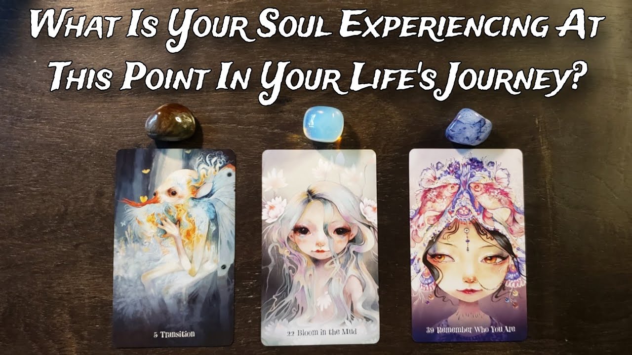 🌟🧝‍♀️ What Is Your Soul Experiencing At This Point In Your Life's Journey? Pick A Card Reading