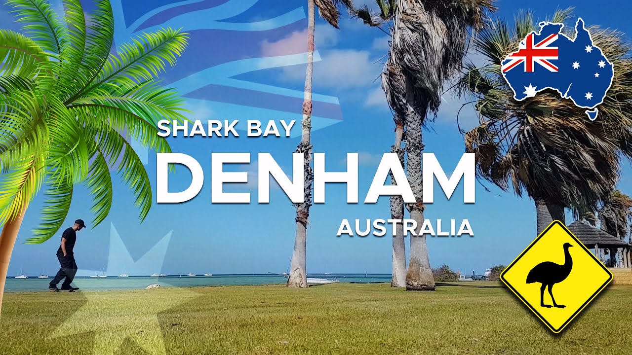 Skateboarding AUSTRALIA | DENHAM (SHARK BAY)