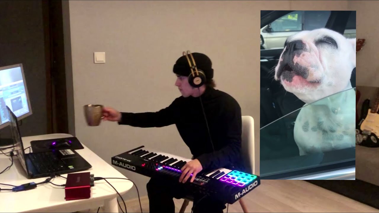 Konrad Pikul ft, walter the dog (live looping)
