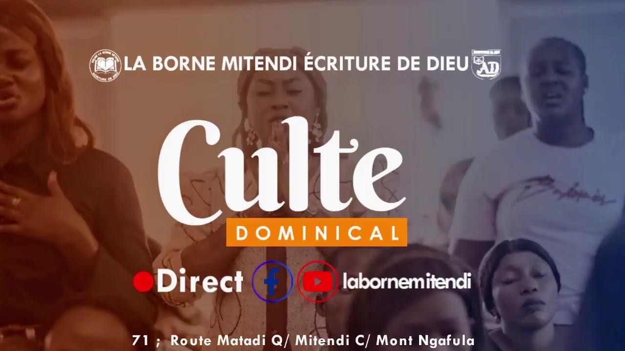 Diffusion en direct de La borne Mitendi Tv