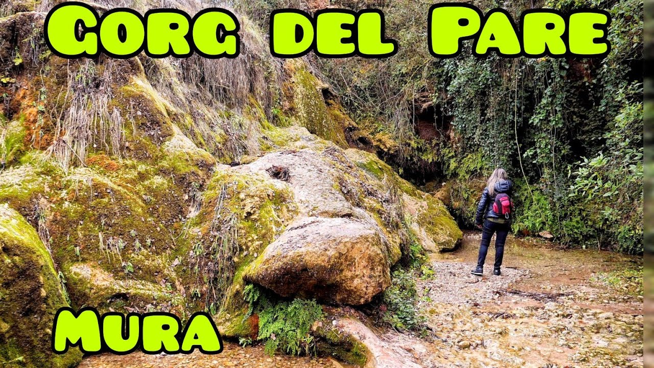 Gorg del Pare - Mura (Cataluña)