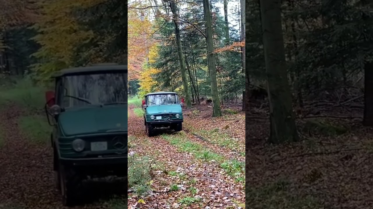 Unimog 421 in Aktion bei Bauer Brennholz
