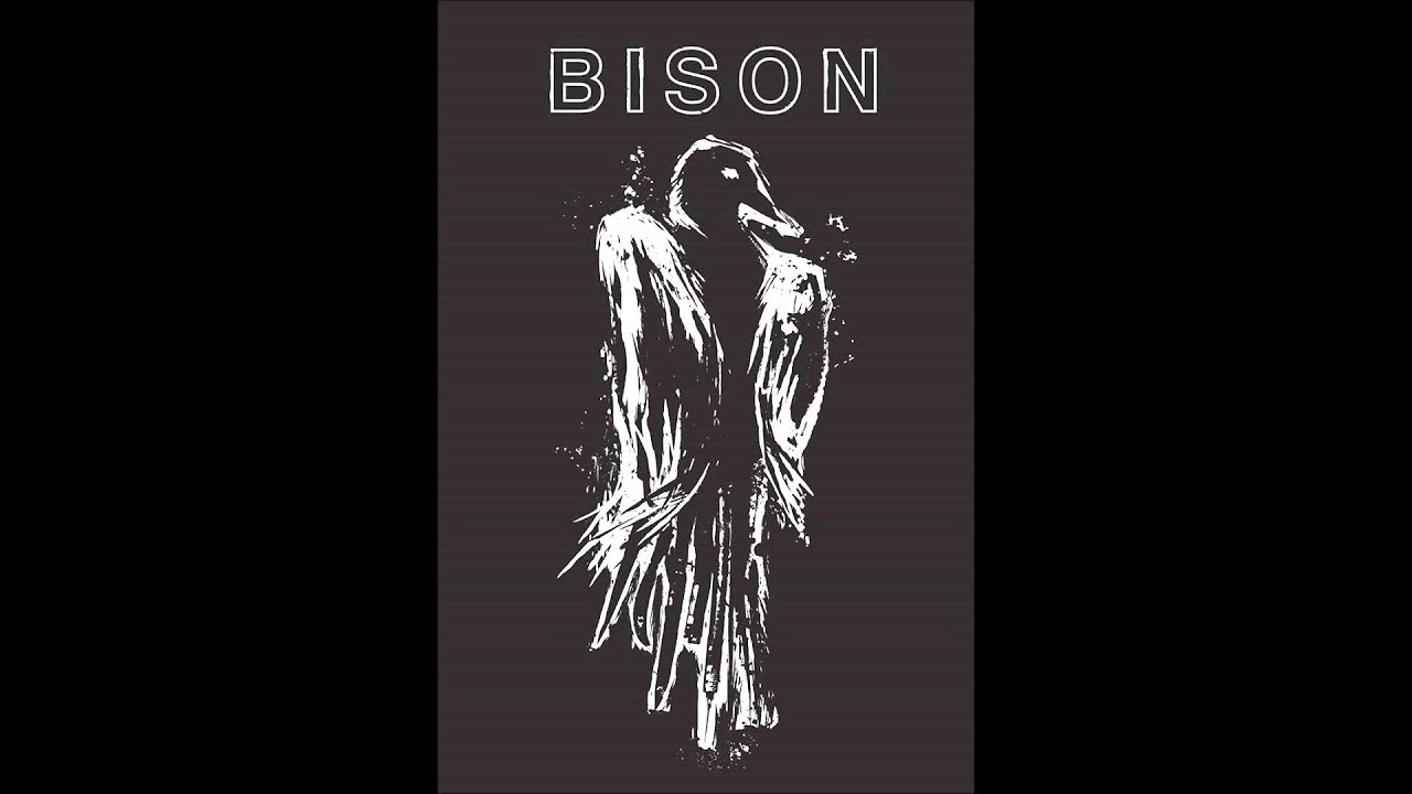 Bison (B.C.):1000 Needles