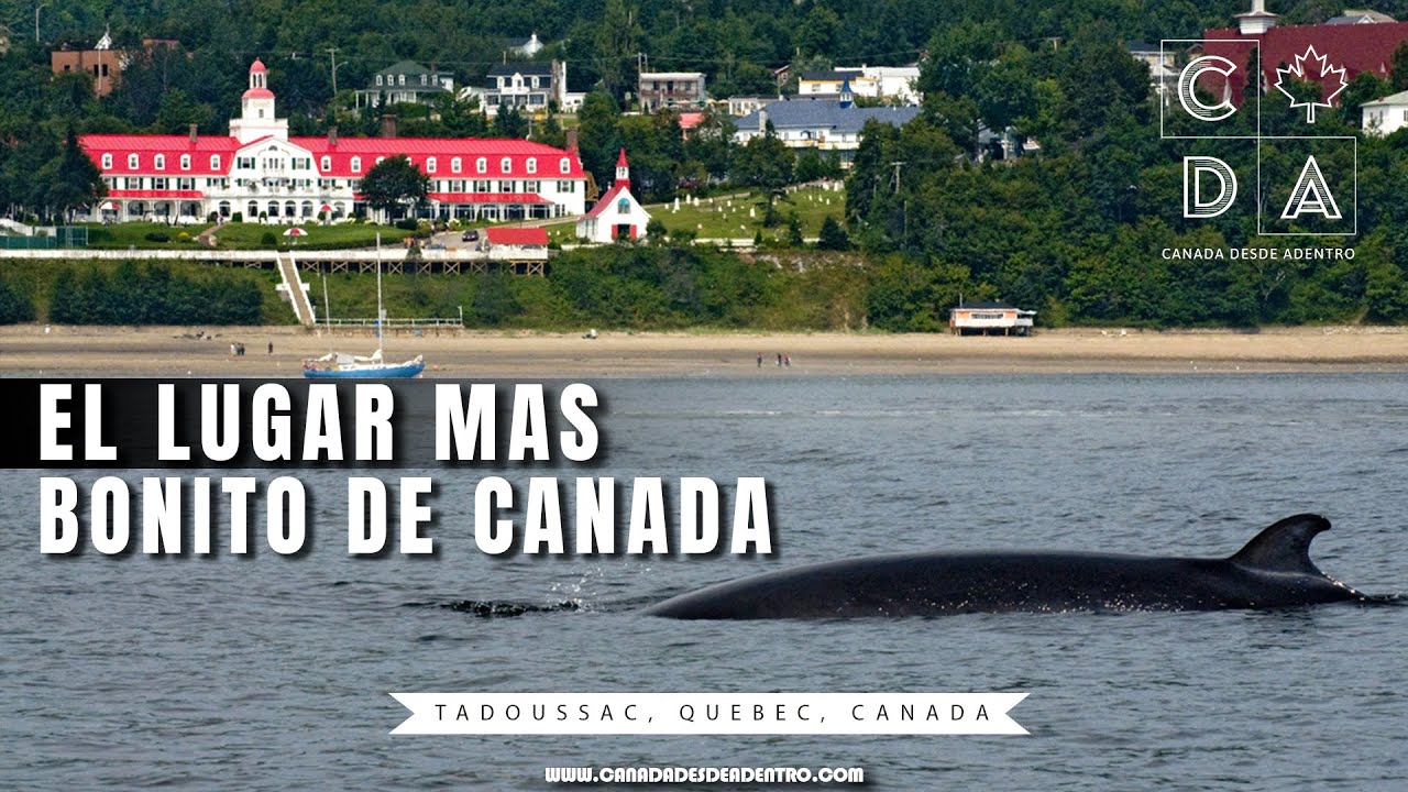 ESTO ES TADOUSSAC EL LUGAR MAS BONITO DE CANADA | LA RUTA DE LAS BALLENAS | BALLENAS EN CANADÁ
