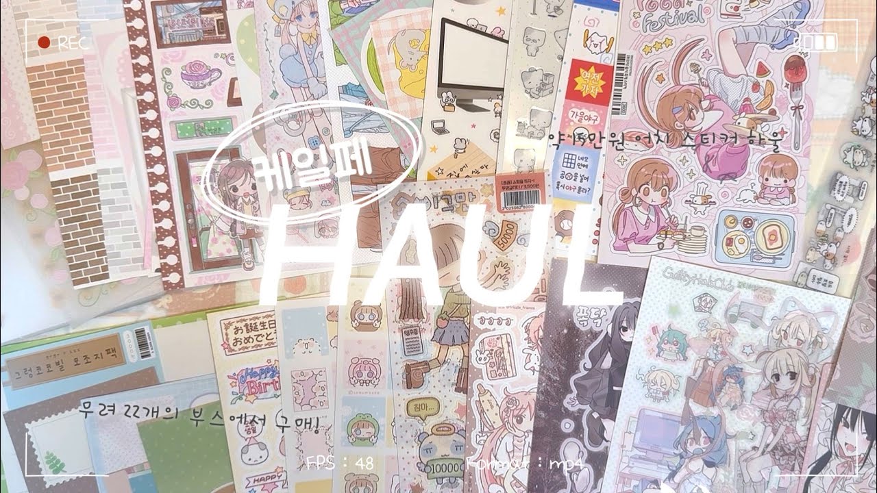 케일페에 사온 스티커 같이 봐요₊ ♪ ・₊✩  | k-일러스트페어 약 15만원 문구 하울🛍️ | 22개 부스에서 사온 문구💛