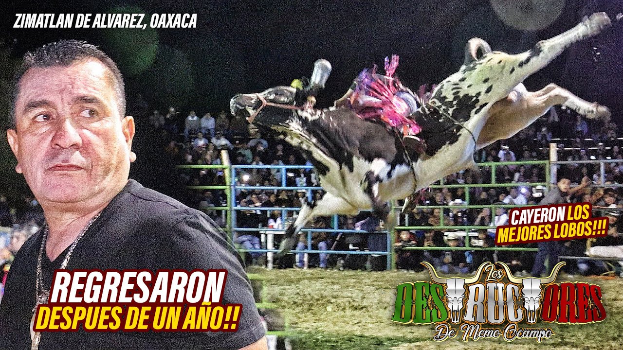 EL PODER DESTRUCTOR REGRESÓ A ESTA TIERRA: LOS MEJORES LOBOS CAYERON! DESTRUCTORES ZIMATLAN OAX '26
