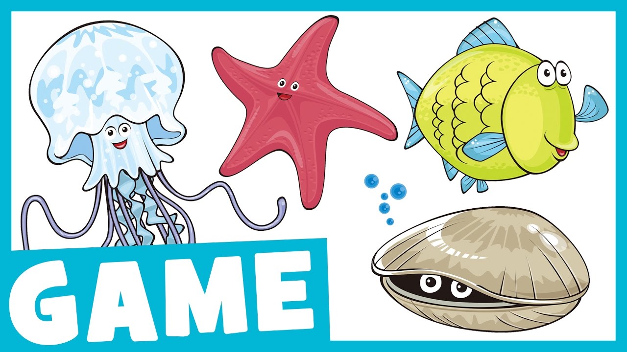 Learn Sea Animals for Kids | What Is It? Game for Kids | Maple Leaf Learning