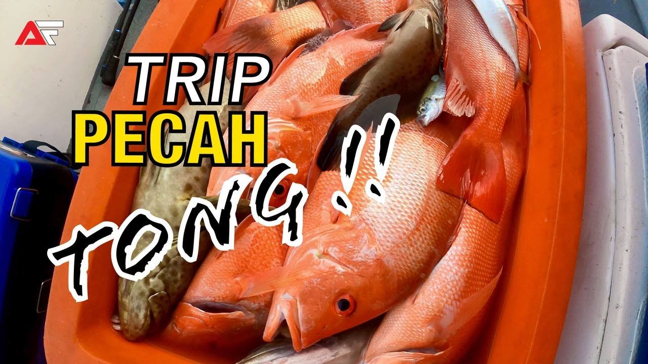 Teknik Memancing Paling Mujarab | Pecah Tong!
