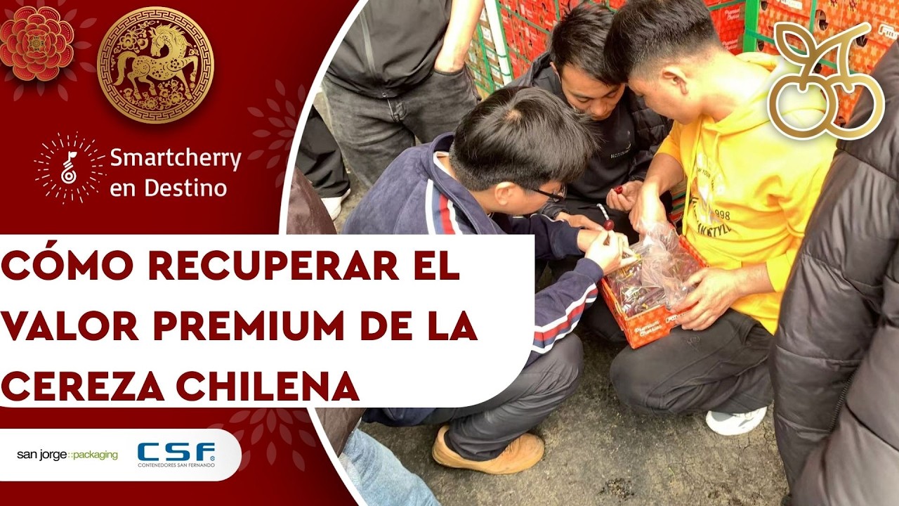 Рекордные объемы продаж, сомнения в качестве и требовательный рынок: основные выводы по итогам се...