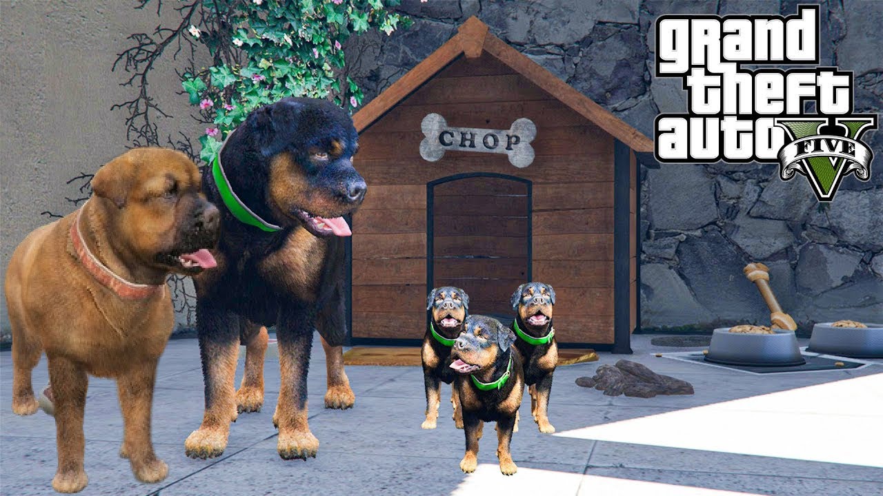 CHOP the DOG gets a GIRLFRIEND and FAMILY!!! (GTA 5 Mods)