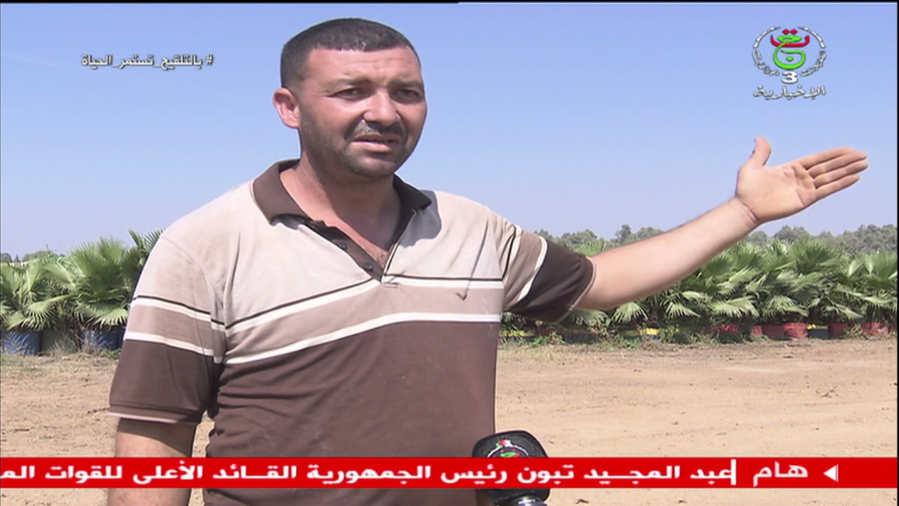 البليدة - فلاحة / مشاتل لنباتات و أشجار متنوعة تسهم في اعادة الاعتبار للغطاء الغابي