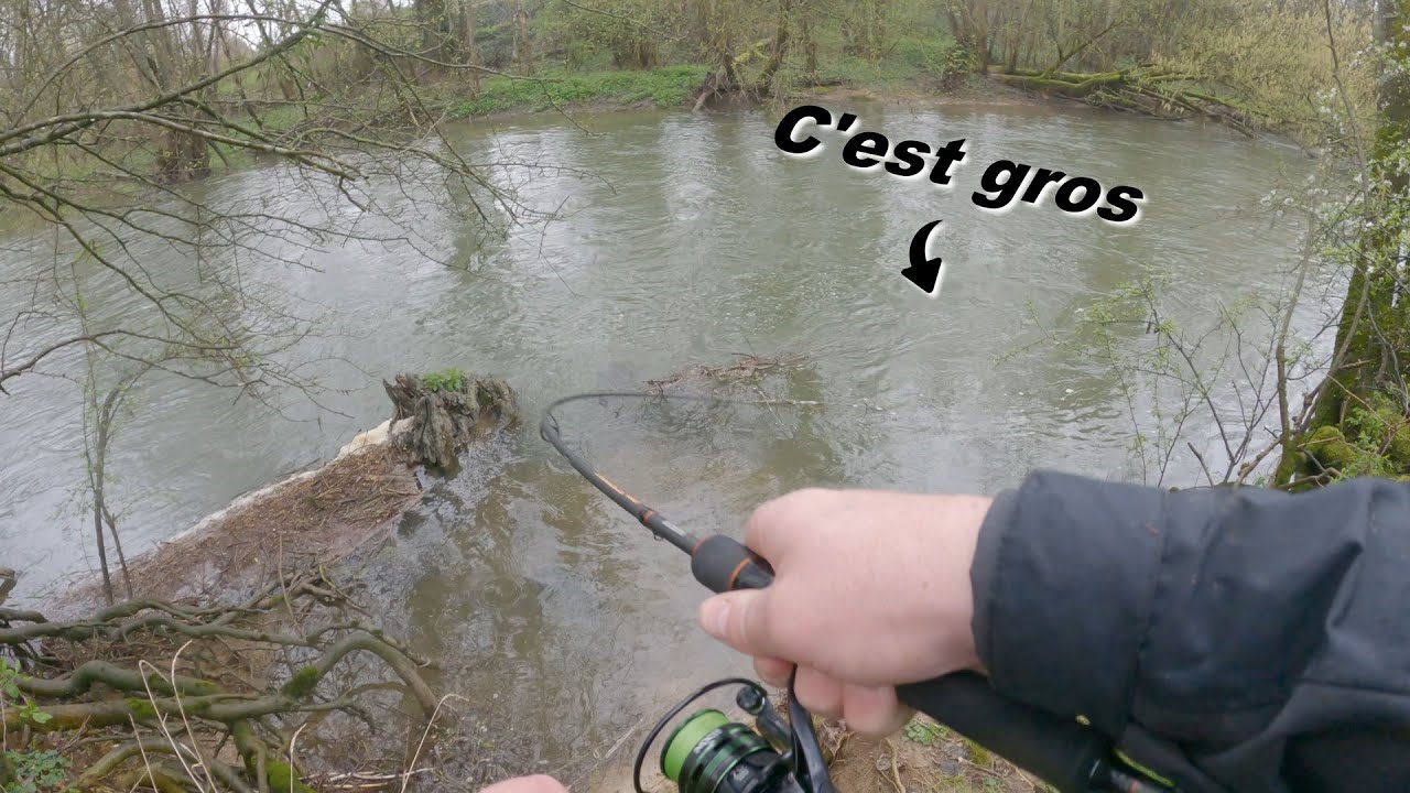 Pêche de la perche et du chevesne au vers.