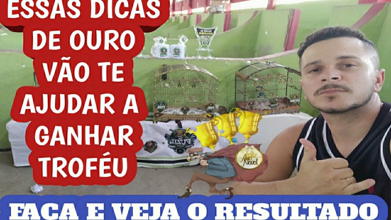 6 DICAS IMPORTANTES PARA INICIANTES EM TORNEIO DE COLEIRO E PAPACAPIM