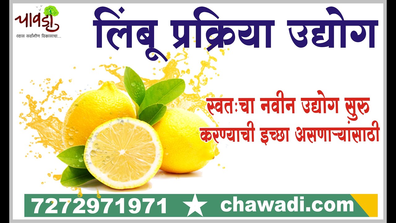 Lemon Processing Business | लिंबू प्रक्रिया माहिती मराठीमध्ये |