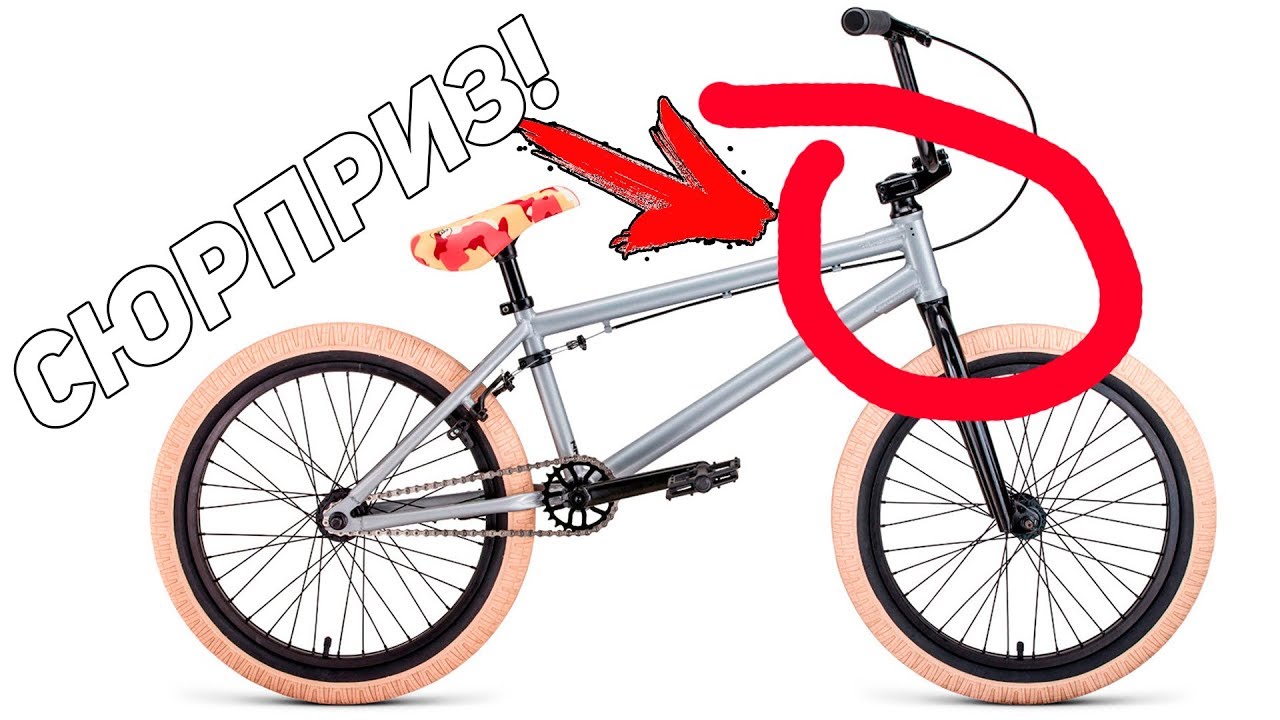FORWARD Zig Zag 2020 (ОБЗОР)