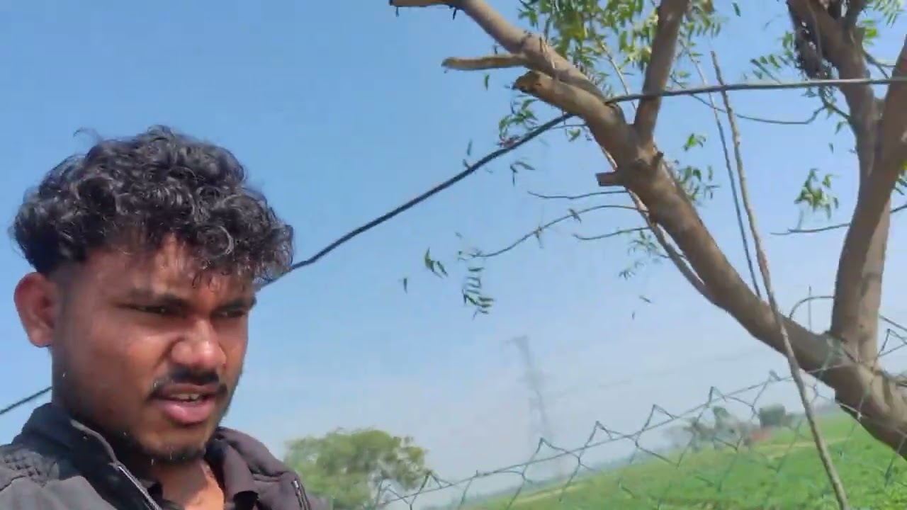ऐसा तालाब आपने कहीं देखा नहीं होगा 