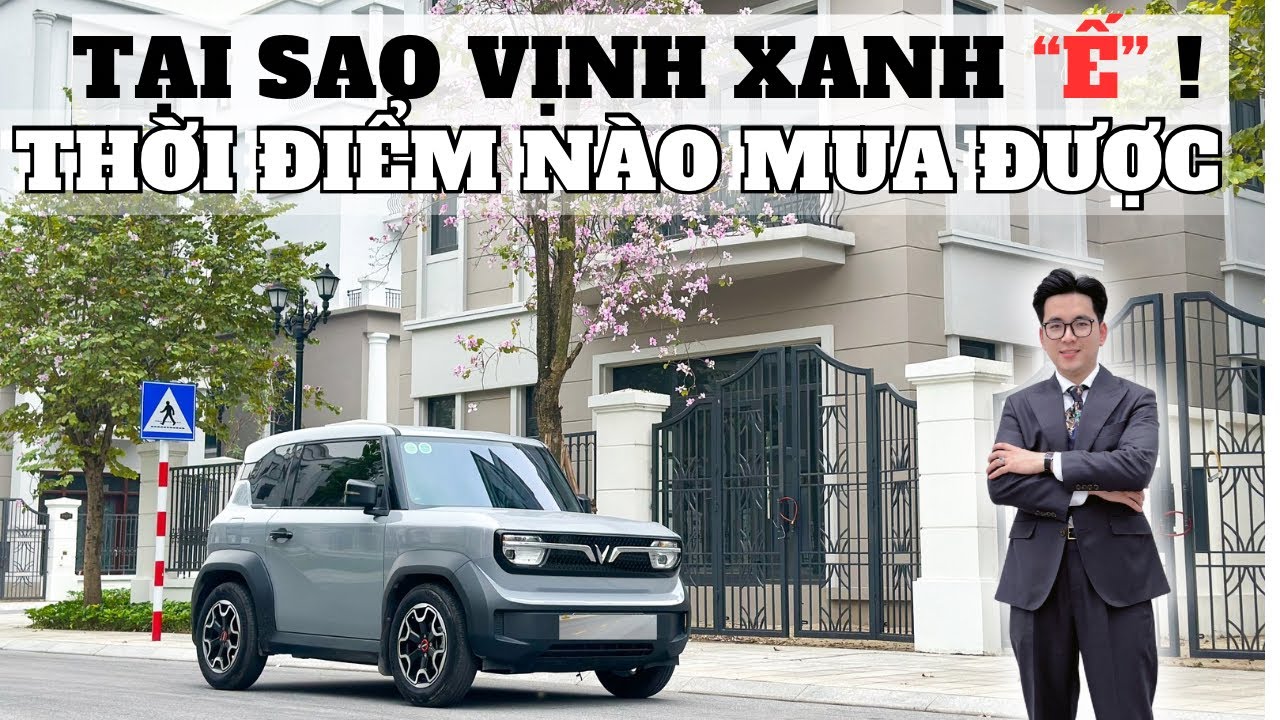 TẠI SAO VỊNH XANH “Ế” ? | THỜI ĐIỂM NÀO MUA ĐƯỢC VỊNH XANH
