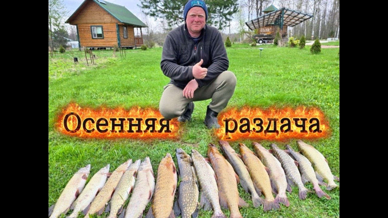 Щука клюет одна за одной!Супер рыбалка!Я такого не видел давно!