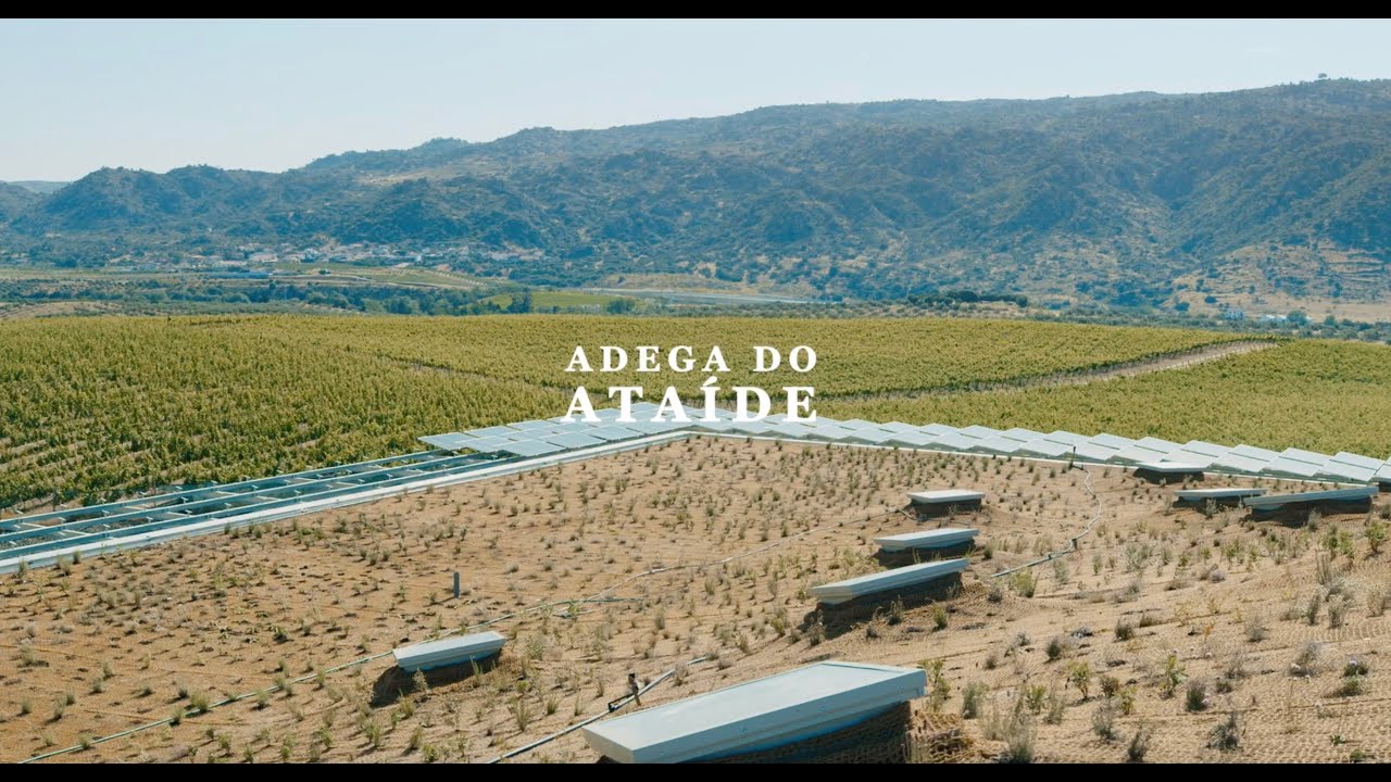 Introducing Adega do Ataíde - Luís Loureiro on architecture