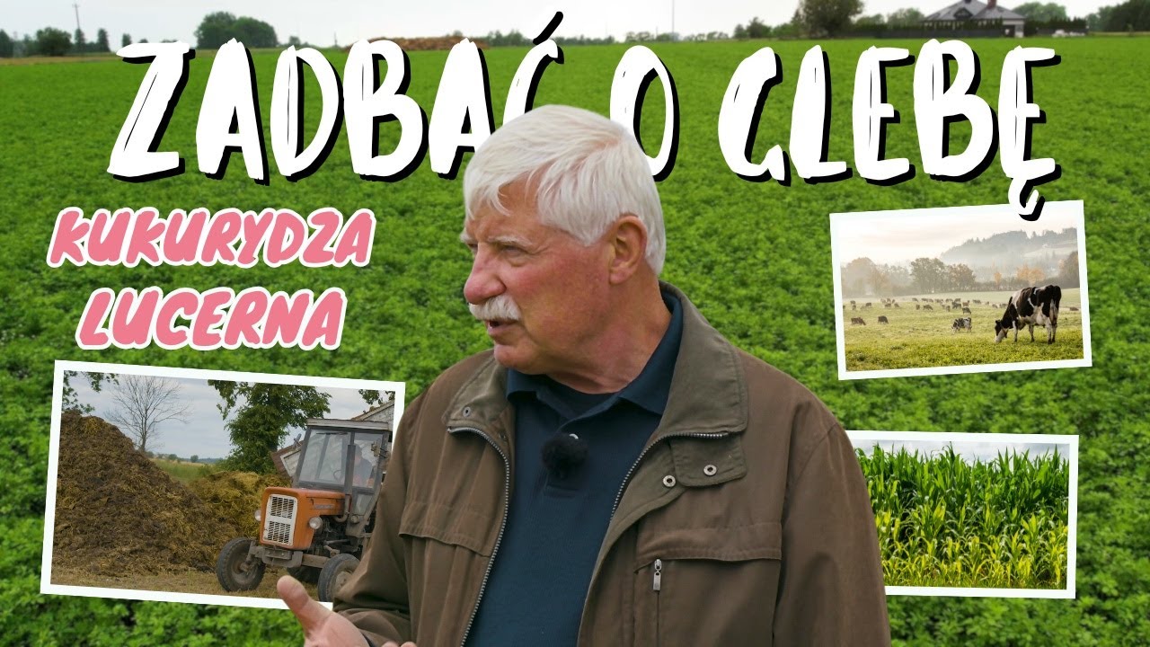 Jak zadbać o glebę w płodozmianie paszowym z kukurydzą i lucerną? Dr Jerzy Próchnicki | e-pole