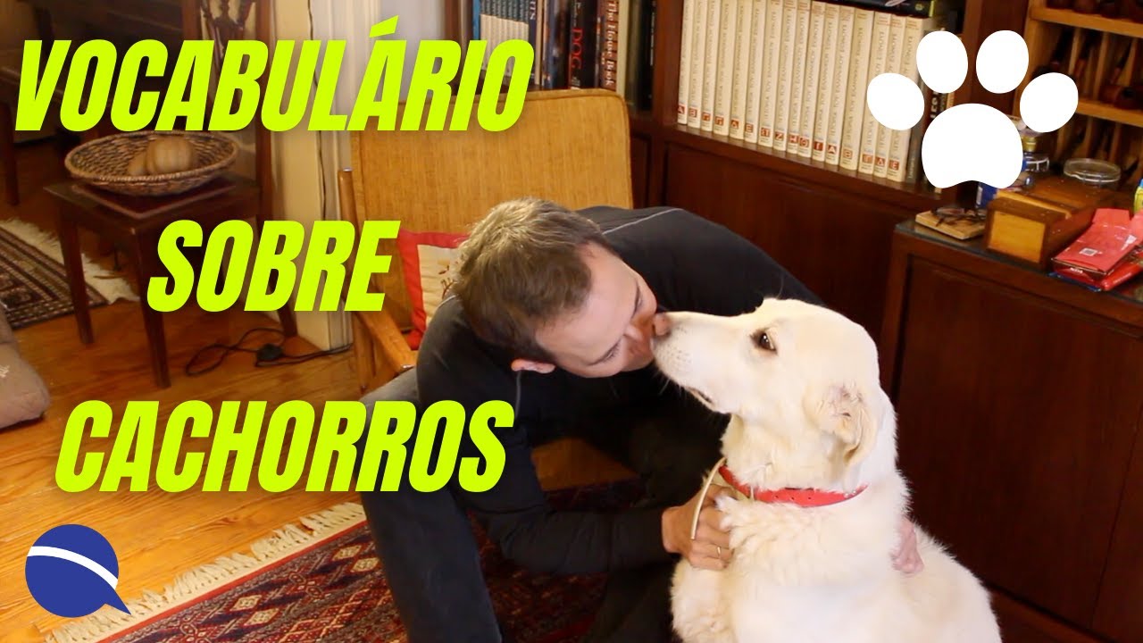 Vocabulário sobre cachorros