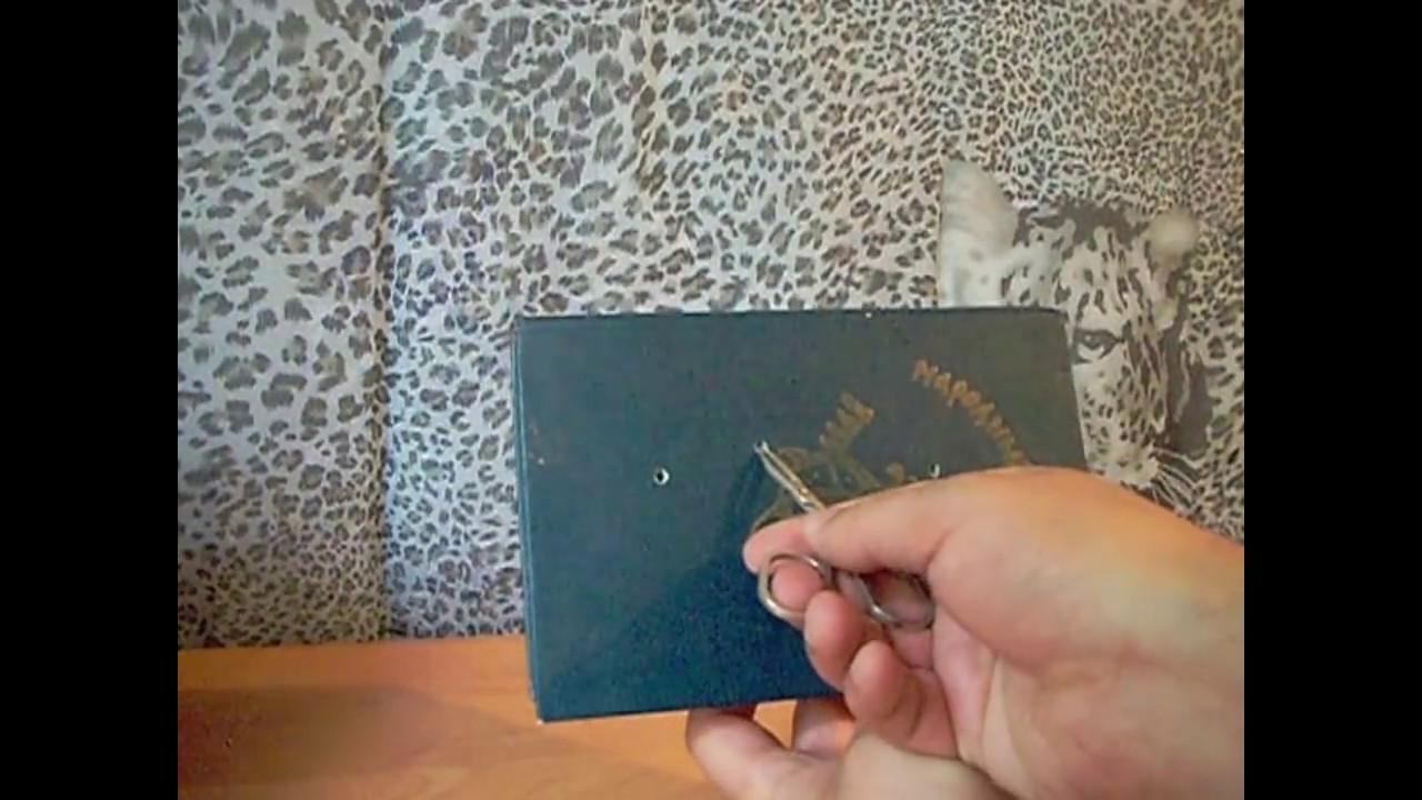 Самые мощные патроны Флобера