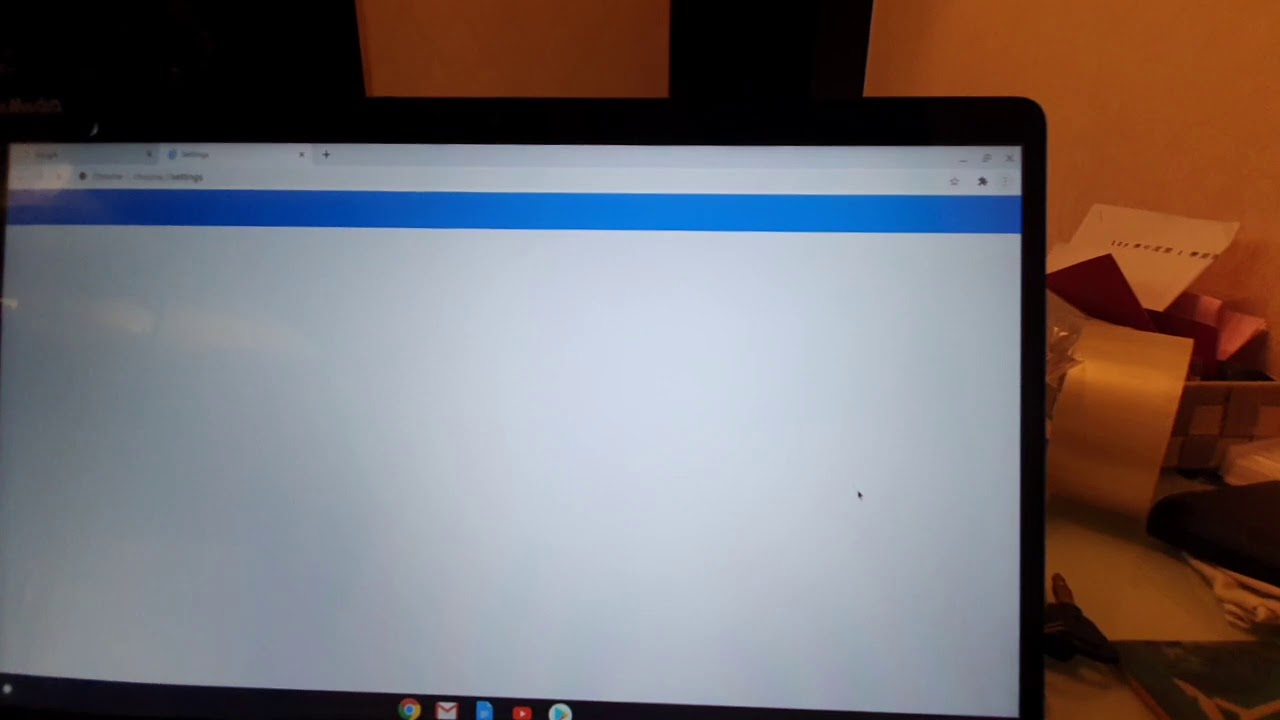 PW313 webcam on Chromebook
