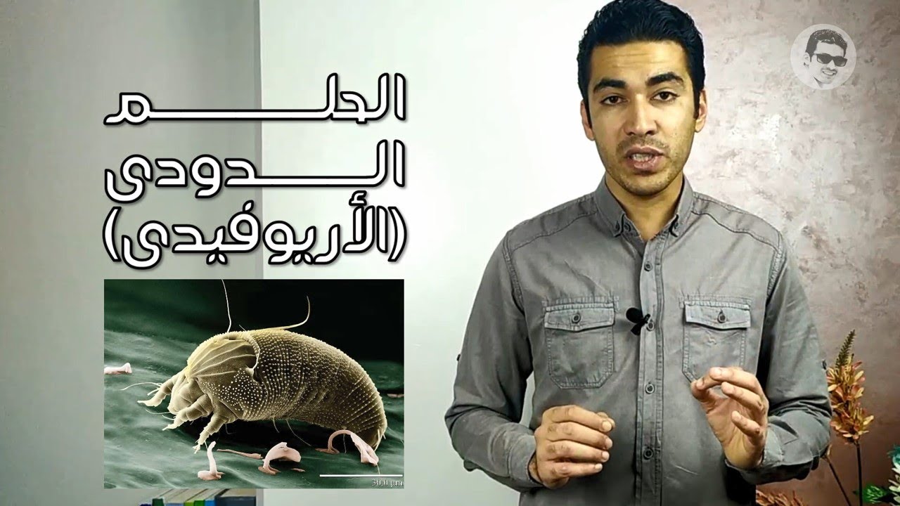 كل ما تريد معرفته عن الحلم الدودى الاريوفيدى Eriophytes