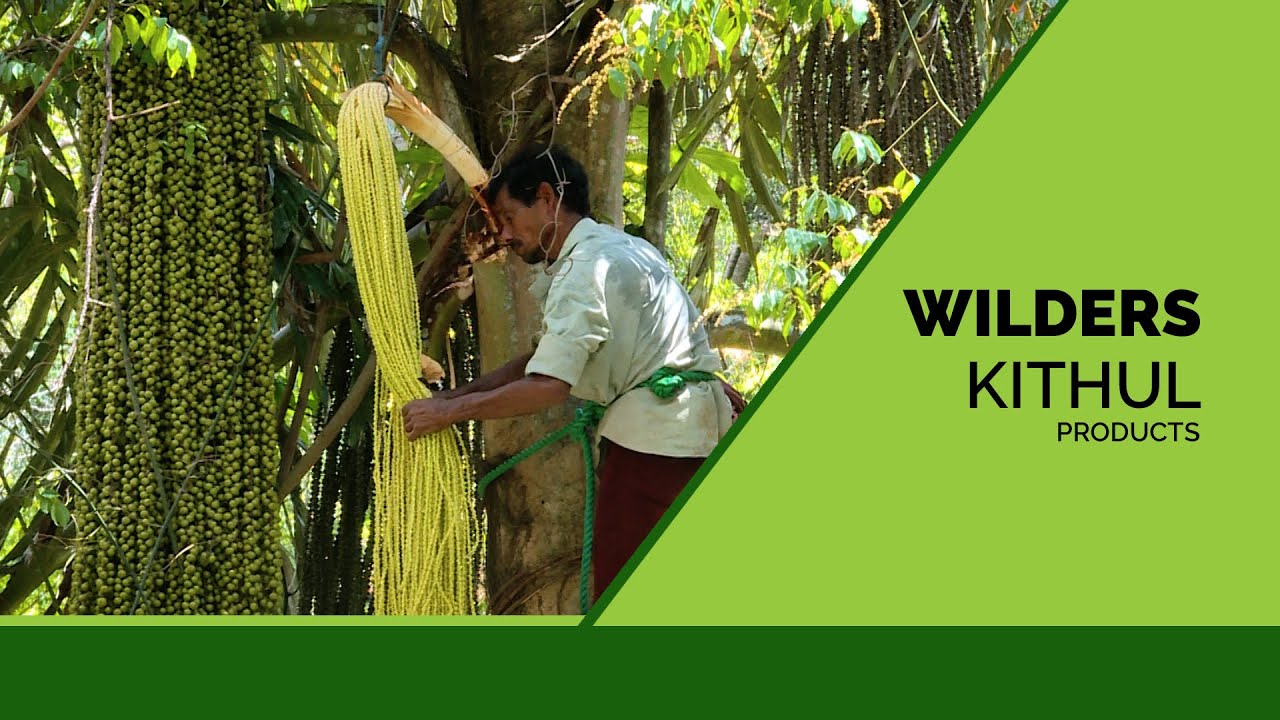 Wilder's Organic Kithul Treacle