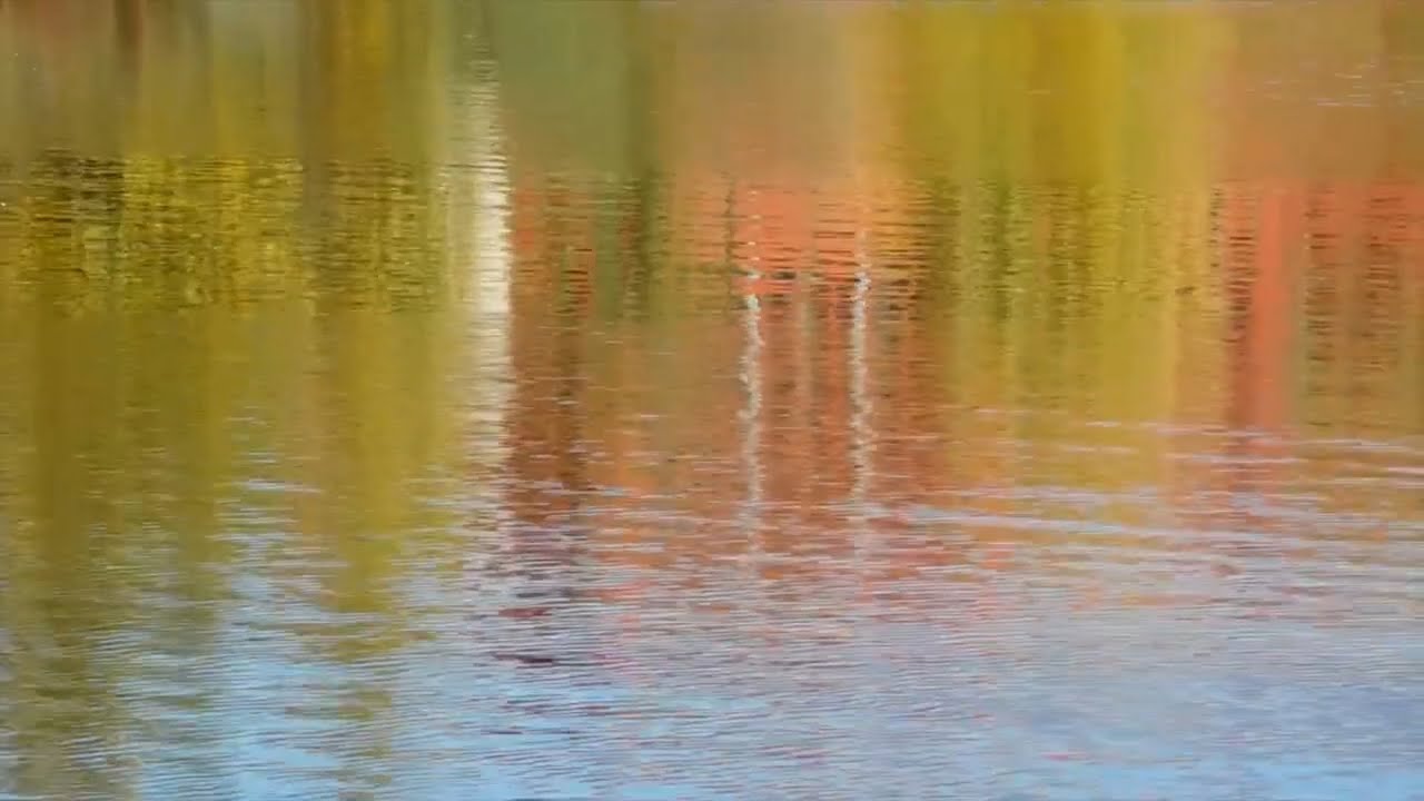 Relax BGM“Embracing Autumn”作業用、リラックス用BGM 1時間　ー 「秋を愛でる」🍂