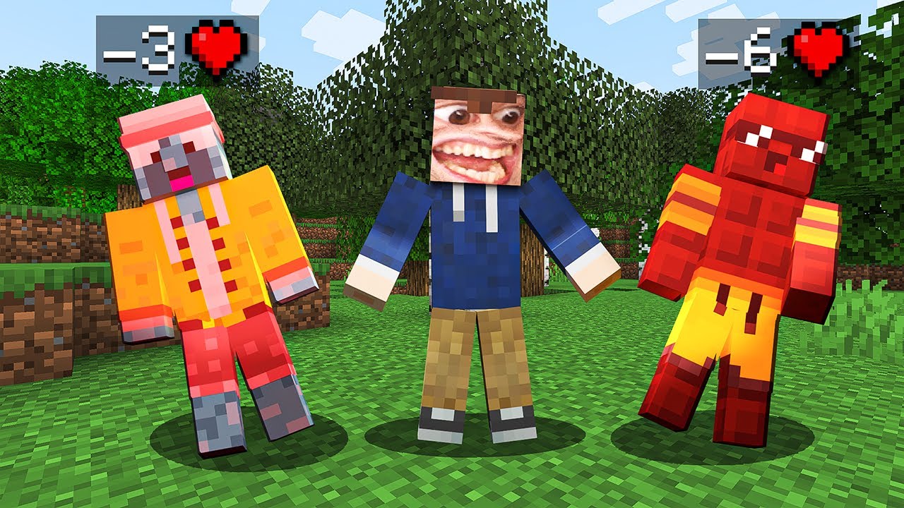 Normal Minecraft spielen dachten meine Freunde zumindest..