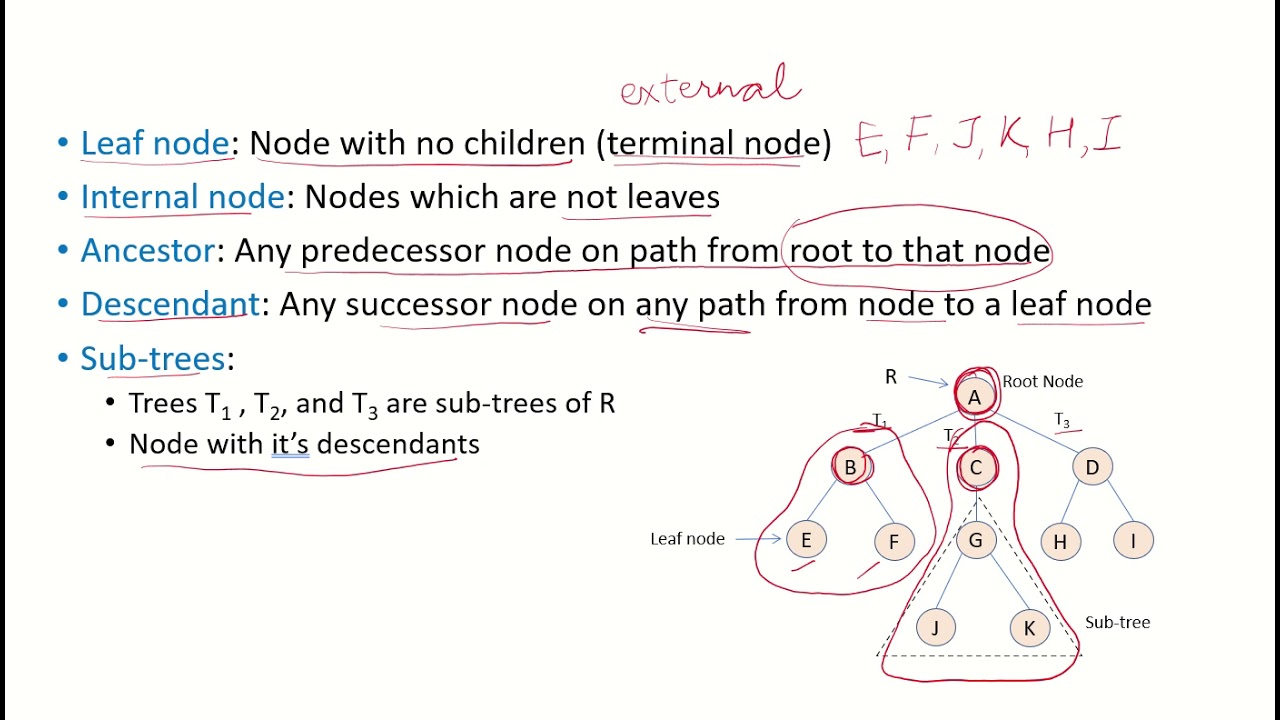 DSA22b - Tree terminology