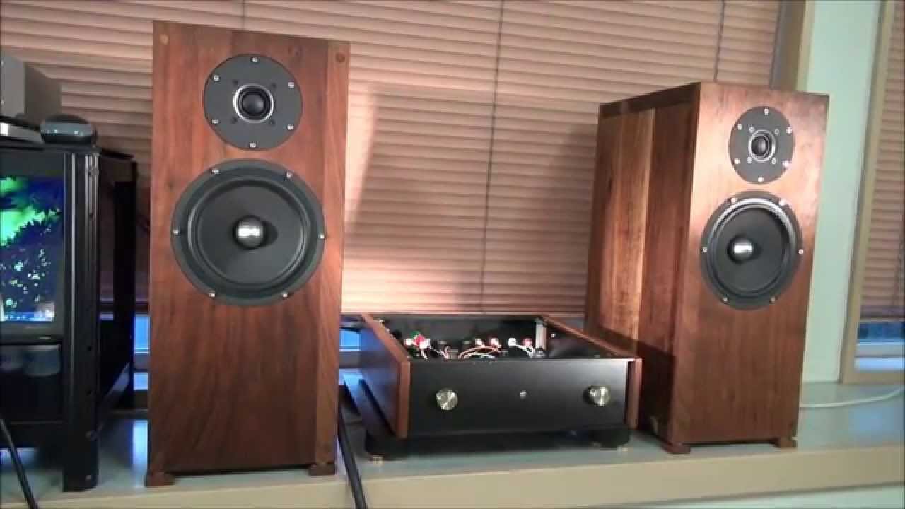 DIY SEAS BIFROST・  DIY TUBE IC AMP