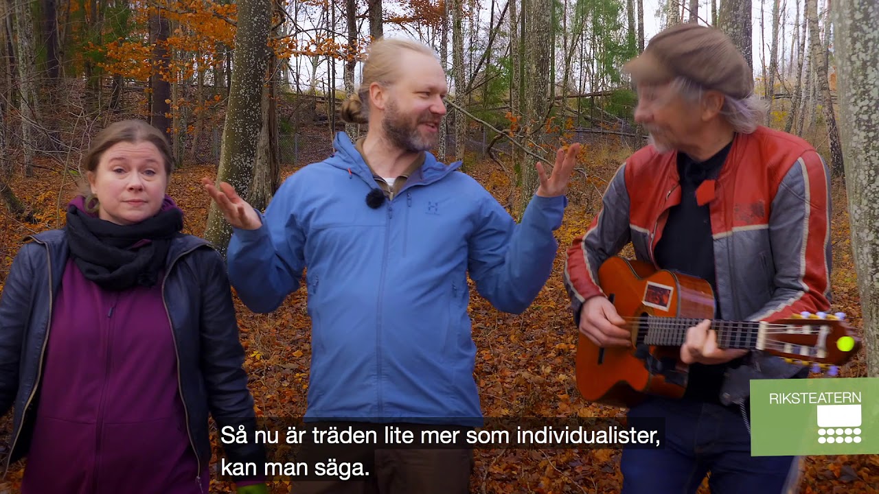 Domedagen&trade; &ndash; en trallv&auml;nlig talkshow TRAILER (16:9)