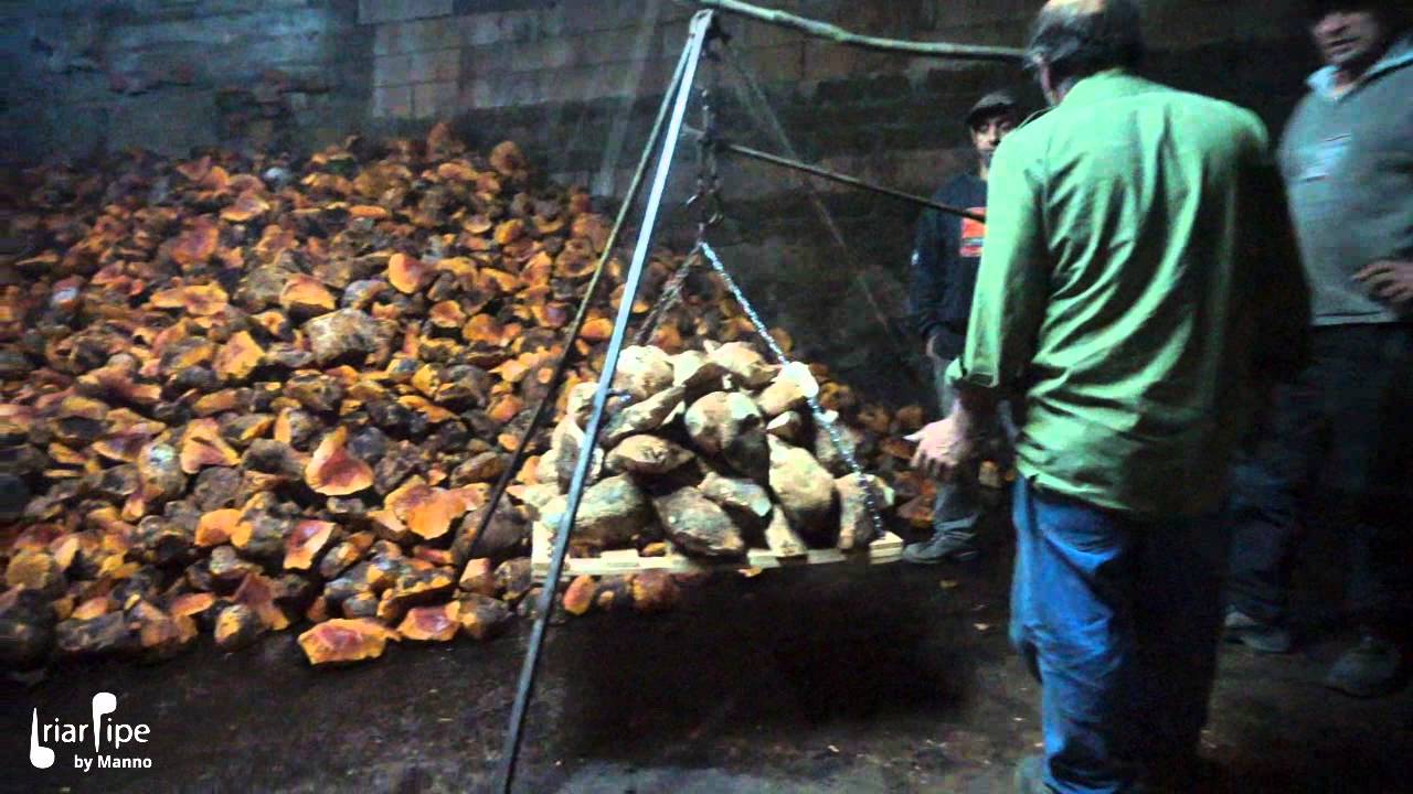 Manno Briar - video documentario