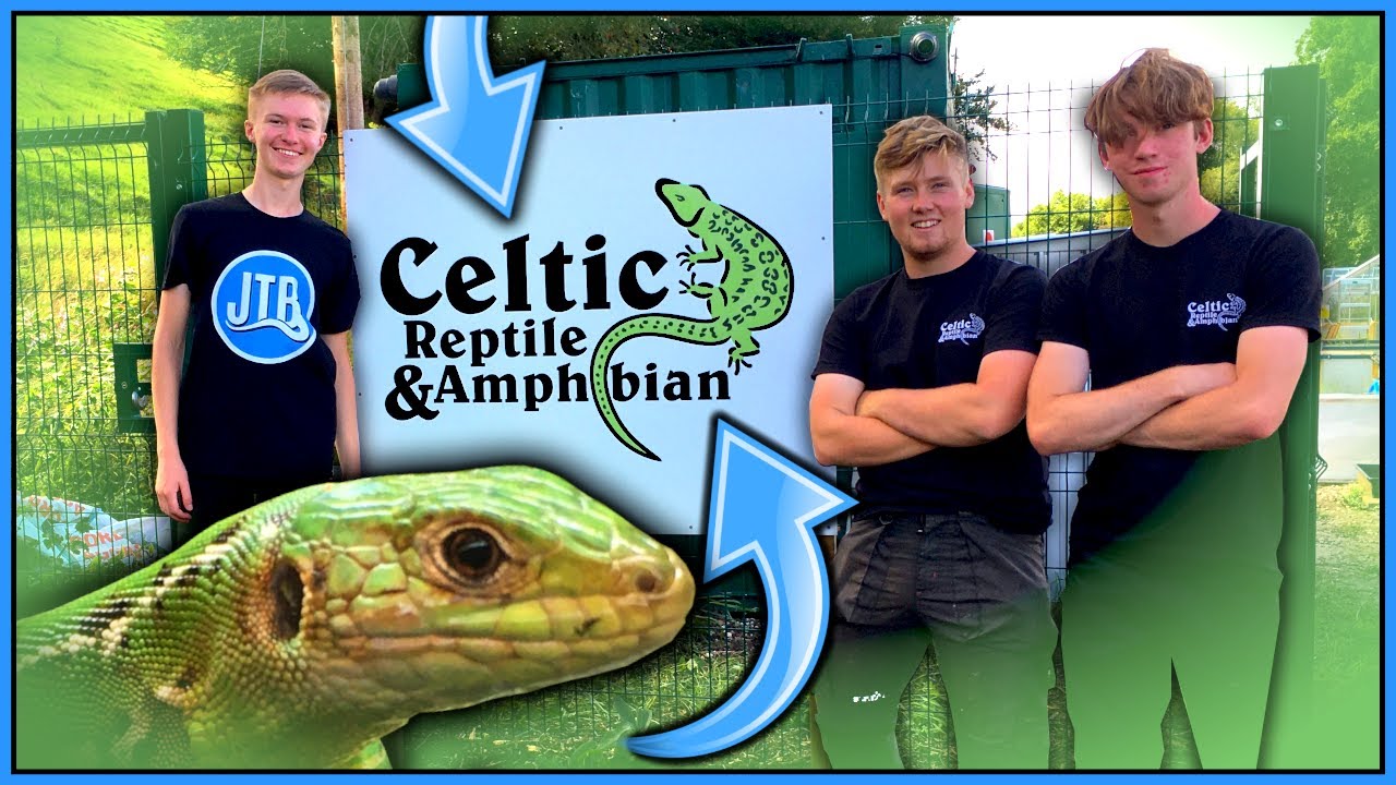 UK's Largest Outdoor Reptile Breeding Facility: Touring Celtic Reptile and Amphibian