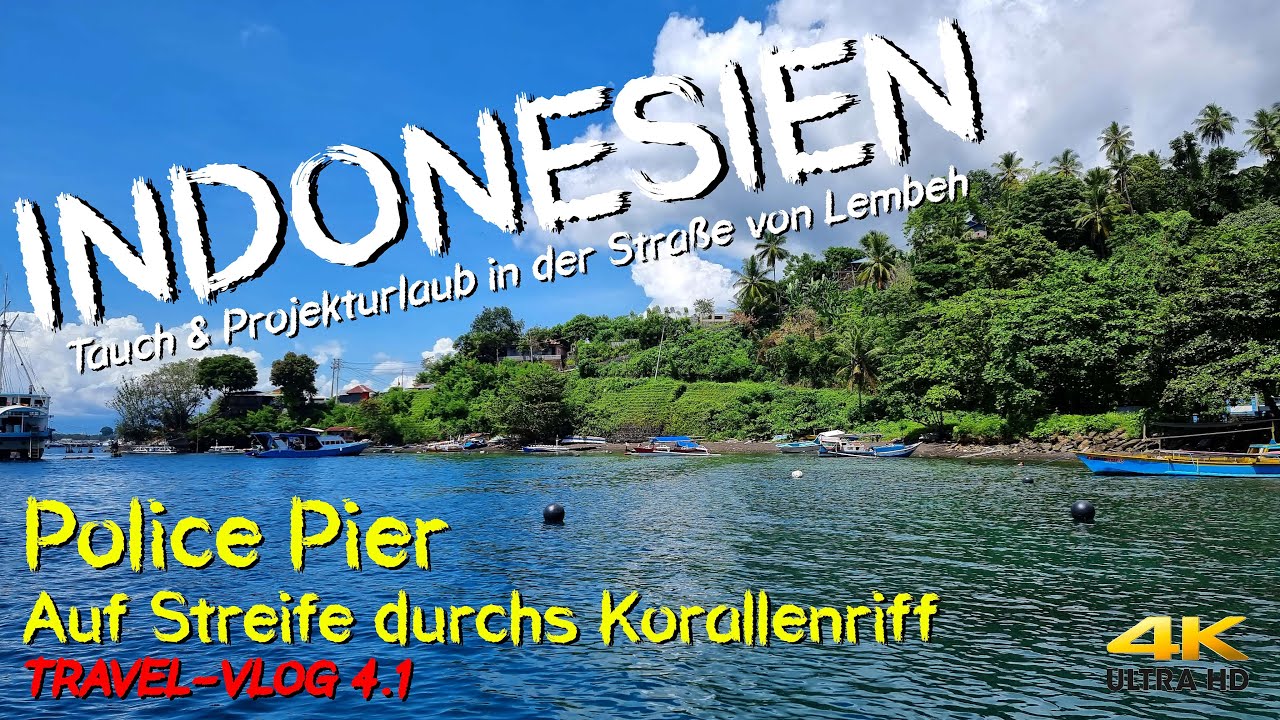 Tauchen INDONESIEN - Police Pier "Auf Streife im Korallenriff" 4K Lembeh Strait