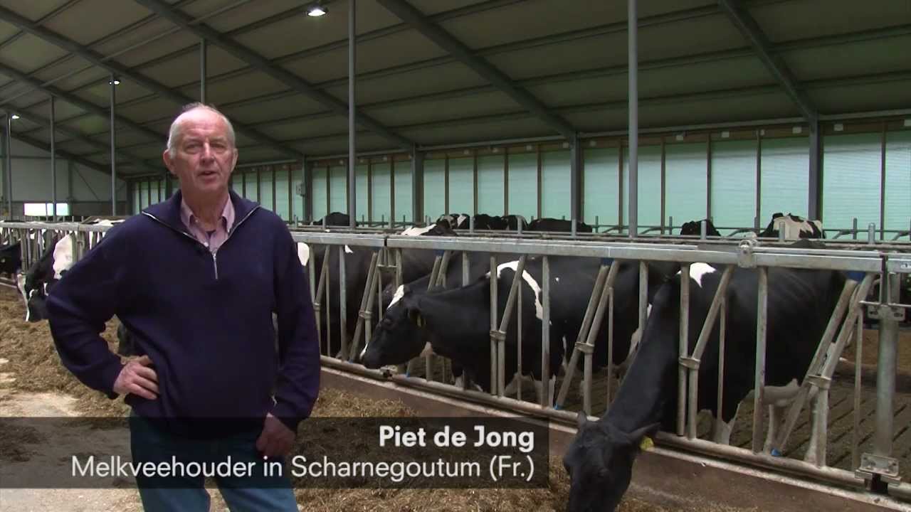 Fries melkveebedrijf is CO2-neutraal