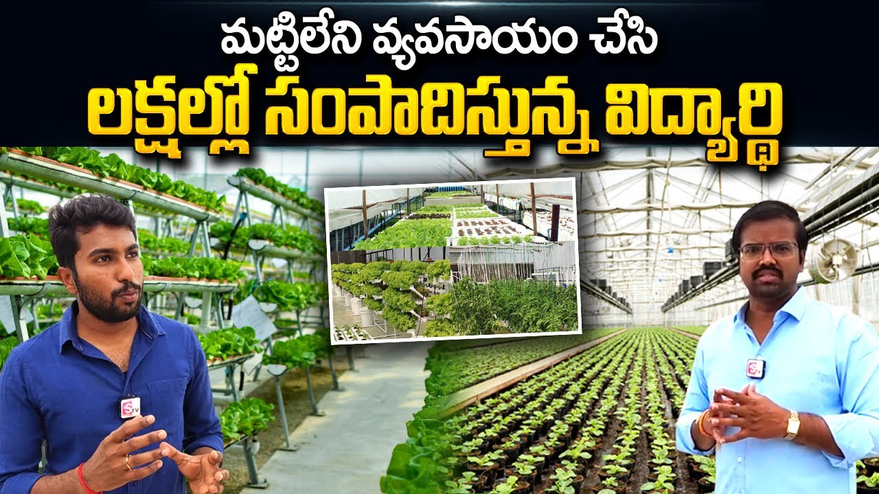Next Gen Farming Without Soil | Hydroponic Farming Business | SumanTV Telugu