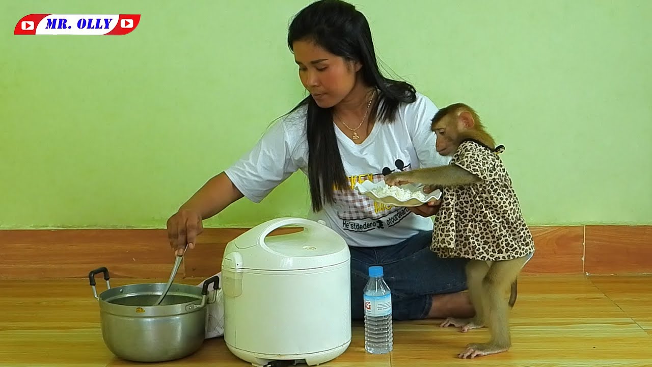 Madam LUNA Eats Rice For Lunch Time