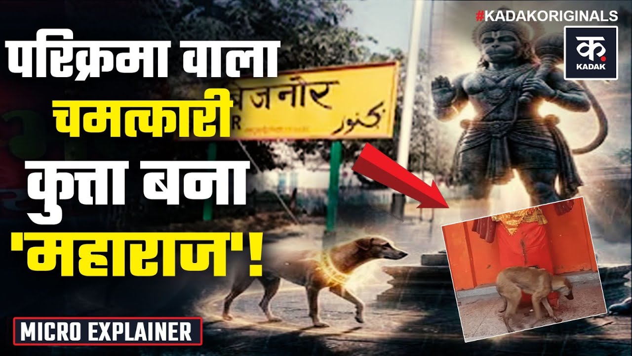 Bijnor Dog: 48 घंटे तक हनुमान जी की परिक्रमा करता रहा कुत्ता, पैर छूने उमड़ा जनसैलाब | Uttar Pradesh