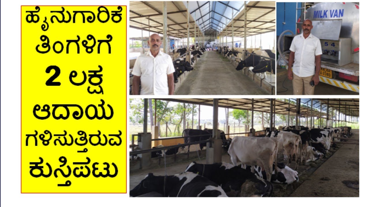 ಹೈನುಗಾರಿಕೆಯಿಂದ ತಿಂಗಳಿಗೆ 2 ಲಕ್ಷ ಆದಾಯ ಗಳಿಸುತ್ತಿರುವ ಕುಸ್ತಿಪಟು