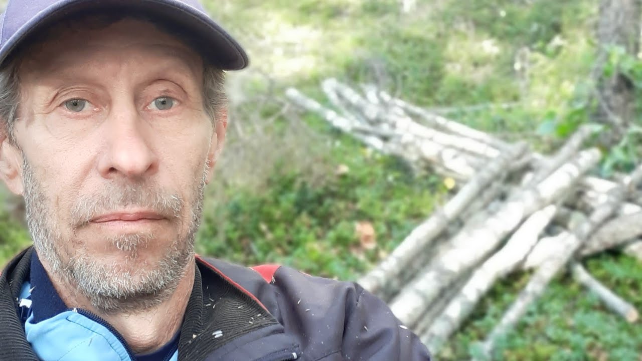 Manuell vedhuggning med motorsåg 