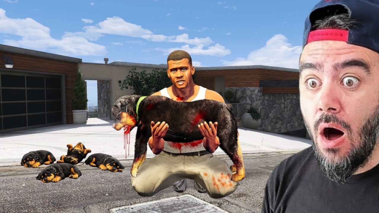 HERKES AĞLADI! FRANKLIN CHOP’U KAYBETTİ - GTA 5 MODS