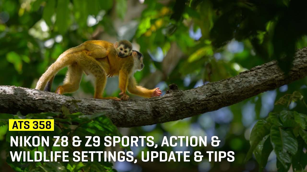 Nikon Z8 & Z9 Sports, Action & Wildlife Settings Update & Tips (ATS 358)
