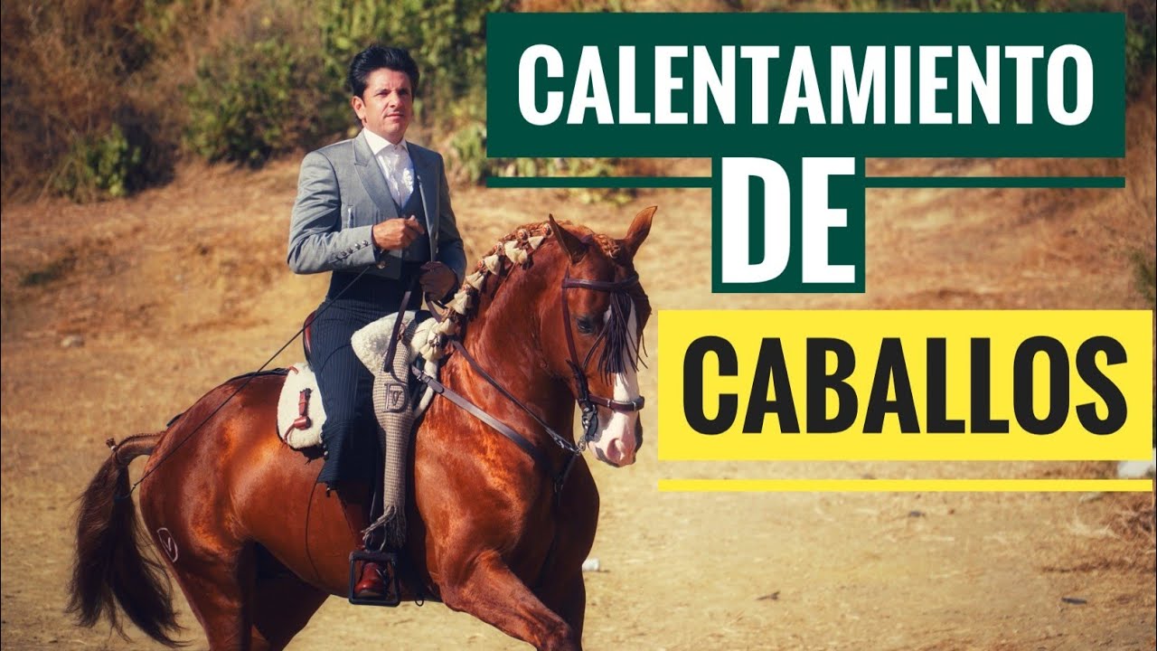 DIEGO VENTURA y ANDRÉS ROMERO | REJONEO Calentamiento de caballos | REJONEADORES corrida de toros