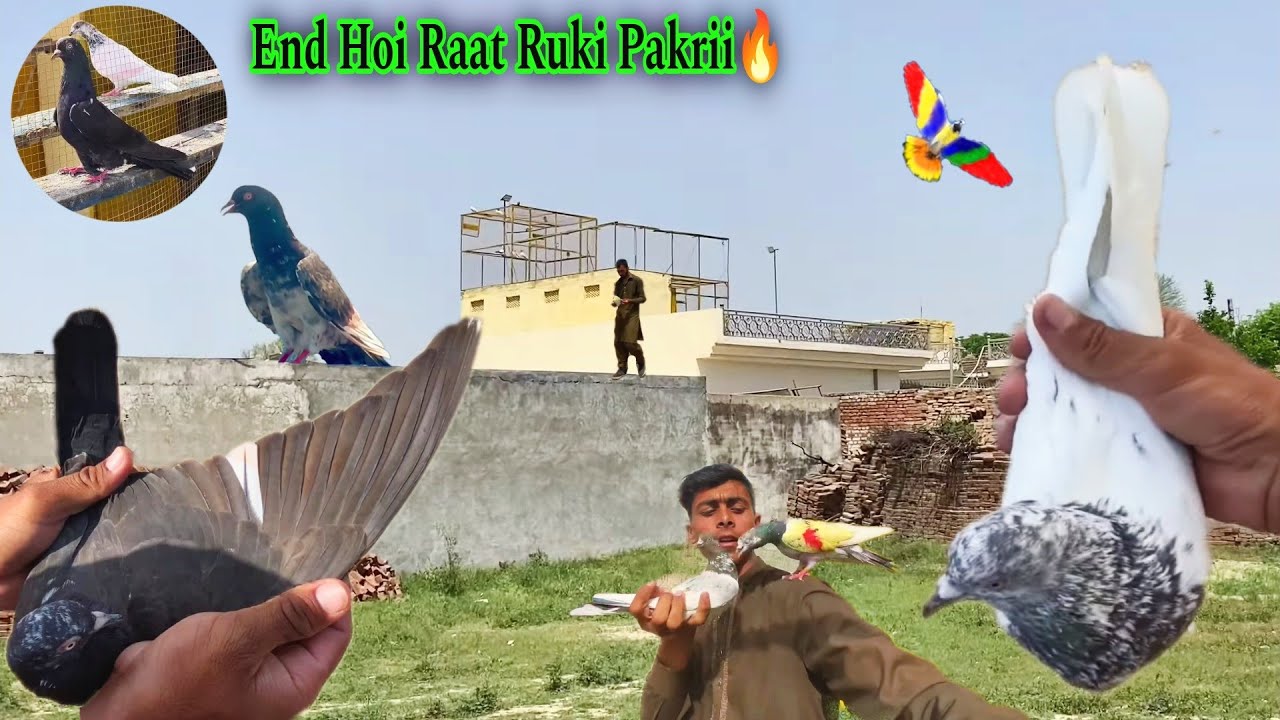 Zakh